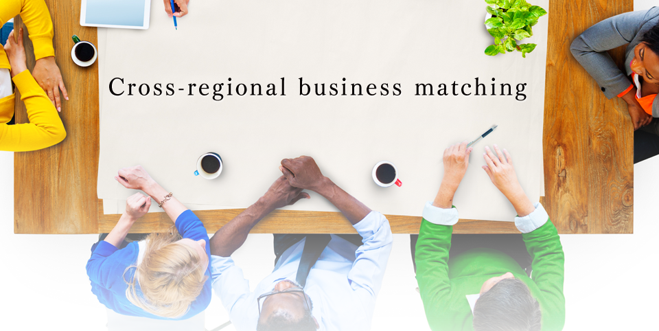 Cross-reginal business matching